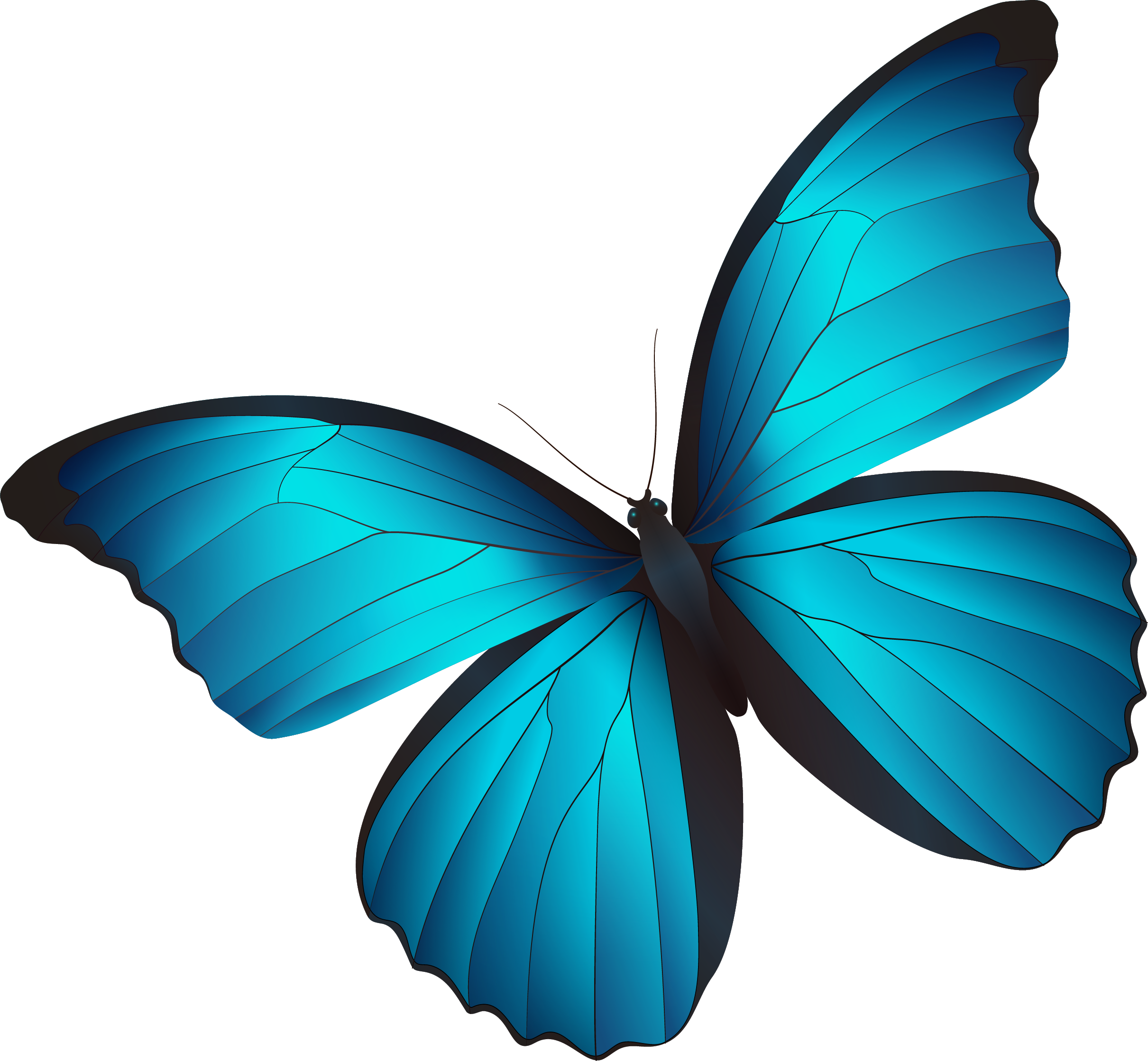 organizational-transformation HR Analytics